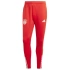 Kalhoty adidas FC Bayern Training Panty M IQ0605 pánské