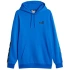 Mikina Puma ESS+ Tape Hoodie FL M 849040 47 pánské