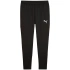Kalhoty Puma Team Goal Slim Training M 659037 03