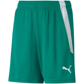 Puma teamLIGA Shorts Jr 704931 05