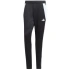 Kalhoty adidas Tiro 24 Training M P1952