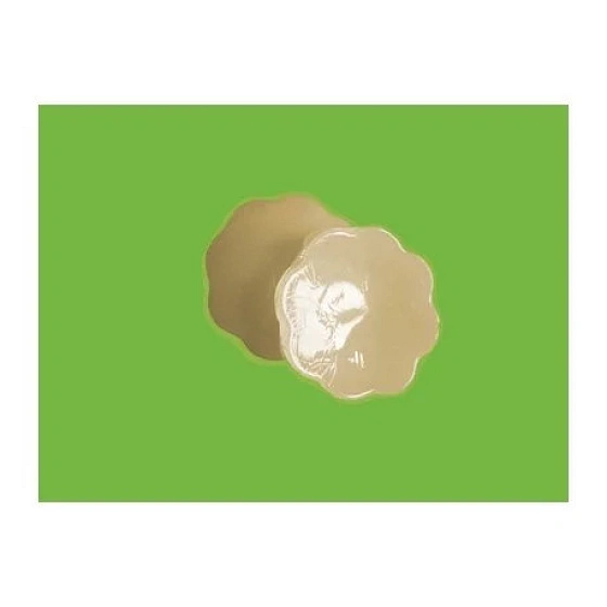 Silikonová lepítka na bradavky PS-05