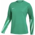 Nike Dri-Fit Park V Stadium dámské tričko zelené HV8316 324