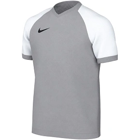 Dětské tričko Nike Dri-FIT Trophy VI, šedé, HV8158 012