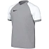 Dětské tričko Nike Dri-FIT Trophy VI, šedé, HV8158 012