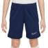 Šortky Nike Dri Fit Academy 25 Jr FZ9784 410
