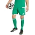 Pánské šortky adidas Tiro 26 Competition Match Day zelené KA6175