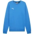 Puma Team Goal Casuals Crew Neck Sweatshirt M 658592 02 pánské