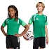 Dětské tréninkové tričko adidas Tiro 26 zelené KA7606