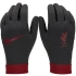Rukavice Nike Liverpool FC Thermafit HO23 FJ4857-010