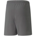 Dětské šortky TeamRise Short Jr 704943 13 - Puma
