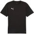 Pánské tričko Puma TeamGoal Jersey black 658636 03 pánské
