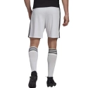 Pánské kraťasy Squadra 21 Short M GN5773 - Adidas