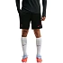 Pánské šortky Nike Dri-FIT PSG, černé, II2611 010
