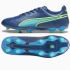 Kopačky Puma King Match FG/AG M 107570-02