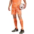 Pánské brankářské šortky adidas Tiro 26 Competition oranžové KC5345