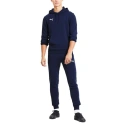 Pánská sportovní obuv TeamGoal 23 Casuals M 656580 06 - Puma