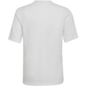 Entrada 22 Graphic Jersey Junior HF0120 tričko - Adidas