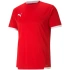 Puma teamLIGA Jersey M 704917 01 pánské