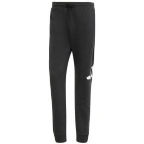 Kalhoty adidas Essentials Big Logo French Terry M IN6163