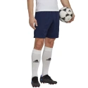 Pánské tréninkové šortky Entrada 22 M H57488 - Adidas