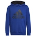 Dětská mikina Big Logo Essentials Hoody Jr HN1912 - Adidas