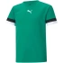 Dětský dres TeamRise Jersey Jr 704938 05 - Puma