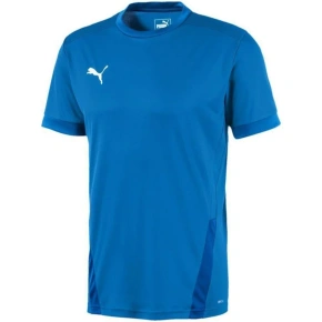 Puma teamGOAL 23 Jersey M 704171 02 pánské dresy