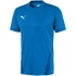 Puma teamGOAL 23 Jersey M 704171 02 pánské dresy