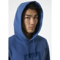 Pánská mikina Box Hoodie M 53289 636 - Helly Hansen