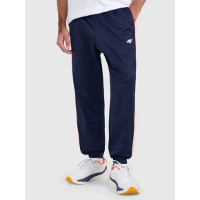 Pánské tepláky typu jogger 4F 4FRAW25TTROM1611-31S Pánské tepláky typu jogger 4F 4FRAW25TTROM1611-31S