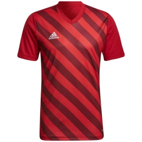 Pánský dres Entrada 22 Graphic Jersey M HB0572 - Adidas