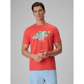 Pánské tričko s potiskem 4F 4FRSS26TTSHM4305-63S