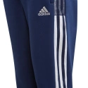 Mladistvé tepláky Tiro21 GK9675 - Adidas