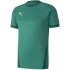 Puma teamGOAL 23 Jersey M 704171 05 pánské dresy