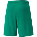 Pánské kraťasy teamRISE Short M 704942 05 - Puma