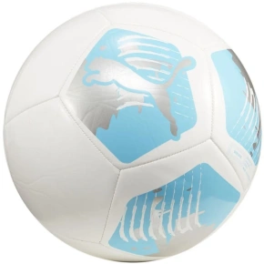 Puma Big Cat fotbal 84214 04