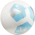 Puma Big Cat fotbal 84214 04