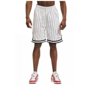 Karl Kani Small Signature Pinstripe Mesh Shorts M 6014921