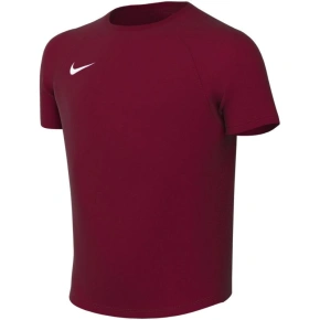 Dětské tričko Nike Dri-Fit Park VIII bordó HV8182 677