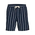 Jack&Jones pánské pruhované šortky JPSTJAIDEN COBA STRIPE JOG SHORTS REG SN SN 12274413 SKY CAPTAIN/STRIPES
