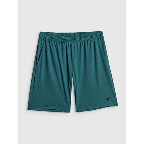Pánské rychleschnoucí tréninkové šortky 4F 4FWSS26TFSHM1277-41M