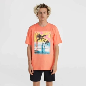 O'Neill Jack Neon T-Shirt M 92800613602
