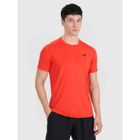 Pánské rychleschnoucí tréninkové tričko 4F 4FWAW25TFTSM1521-62S