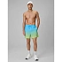 Pánské plážové šortky boardshorts 4F 4FRSS26UBDSM224-31S