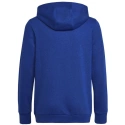 Dětská mikina Big Logo Essentials Hoody Jr HN1912 - Adidas