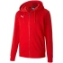 Pánské tričko teamGoal 23 Casuals Hooded M 656708 01 - Puma