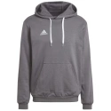 Pánské tričko Entrada 22 Sweat M HB0578 - Adidas