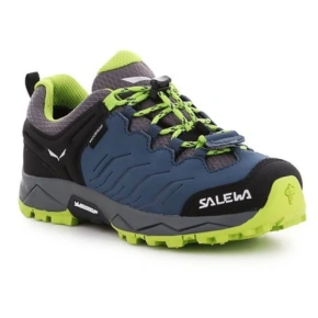 Dětské trekové boty Salewa Jr Mtn Trainer 64008-0361