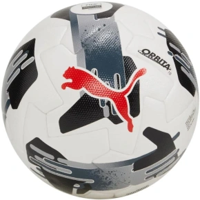 Puma Orbit 1 TB FIFA Quality Pro fotbal 84322 02